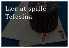 Telesina regler
